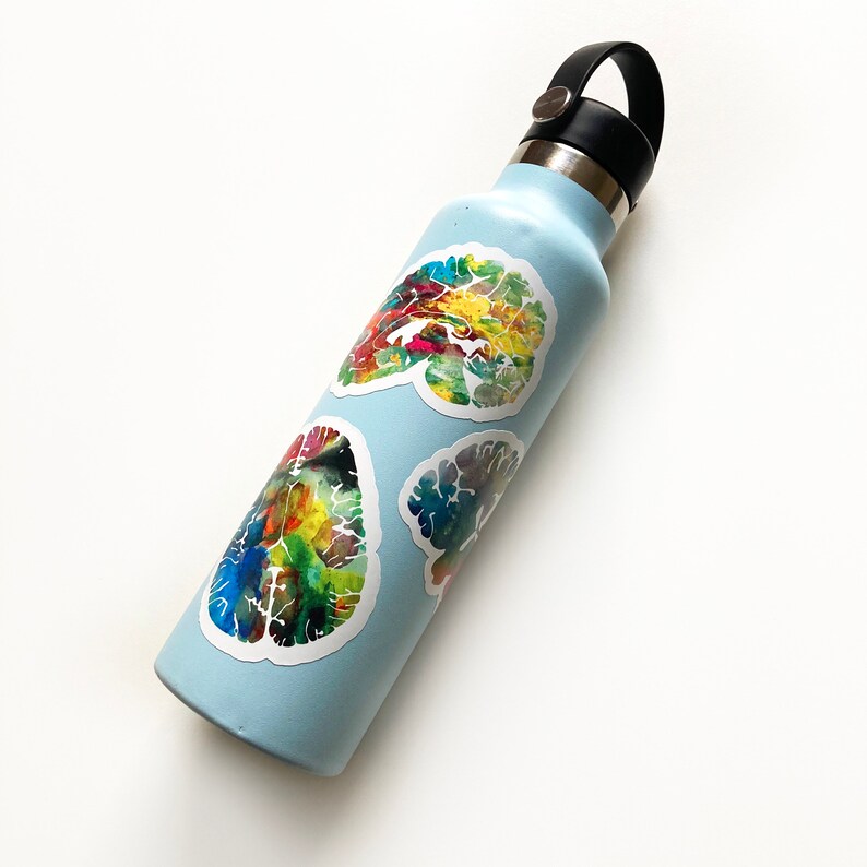 May include: A light blue water bottle with three colourful brain-shaped stickers. The stickers are a watercolour style with shades of blue, green, yellow, orange, and red.