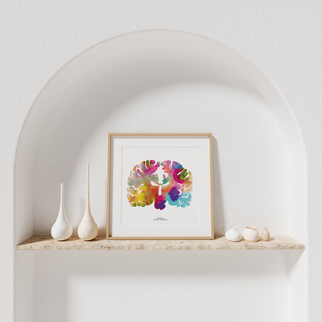 Human Brain Art Print - 12" X 12" Watercolor Artwork Prints - Colorful ...