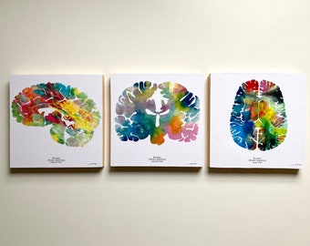 Human Brain Art - Mounted Artwork 8" x 8" - Neuroscience, Neurology, and Psychology Gifts - Ready to Hang Artwork - Signed by J. Sayuri