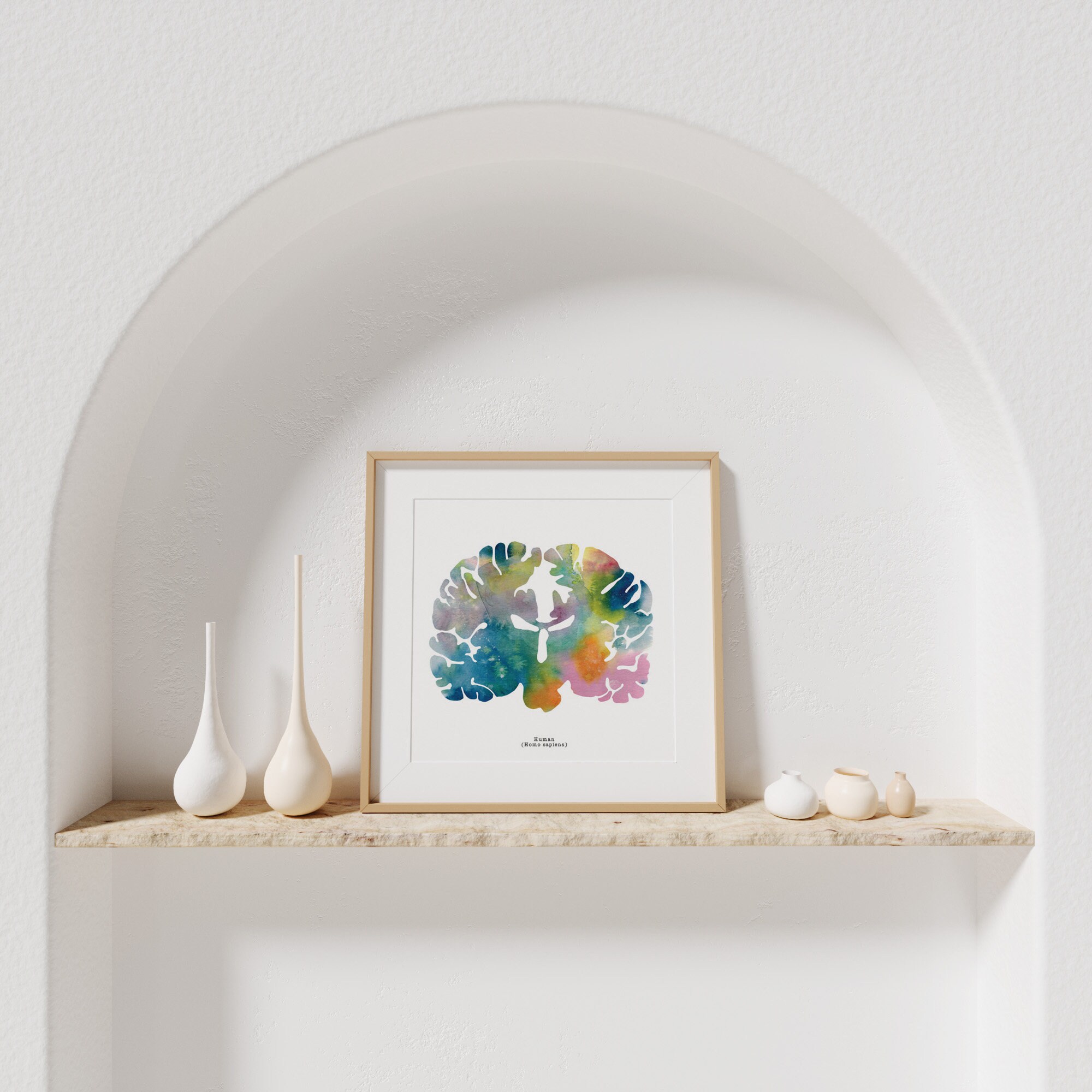 Human Brain Art - Colorful 12" X 12" Coronal Watercolor Print ...
