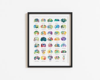 Veterinary Gift - Animal Brain Poster - 16&quot; x 19.75&quot; - Colorful Neuroscience, Veterinary, and Psychology Wall Decor - Veterinarian Gift Idea