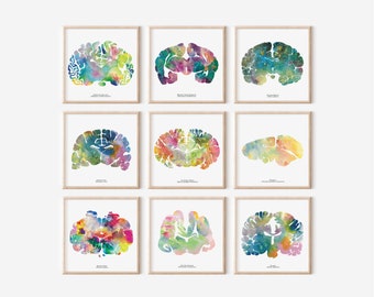 Set of 9 Brain Art Prints - 12&quot; x 12&quot; Watercolor Artwork - Colorful Neurology, Neuroscience and Psychology Wall Decor and Gifts by J. Sayuri