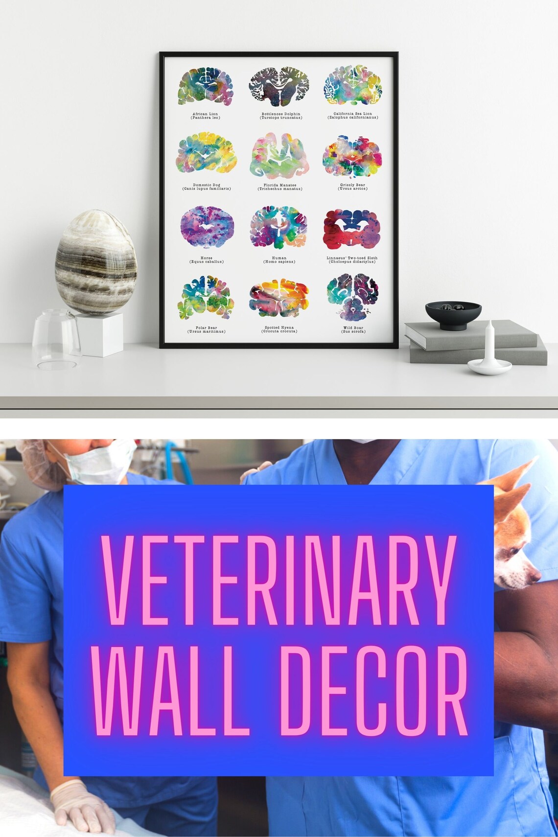 Veterinary Wall Art 8.5 x 11 Veterinarian Gift Etsy