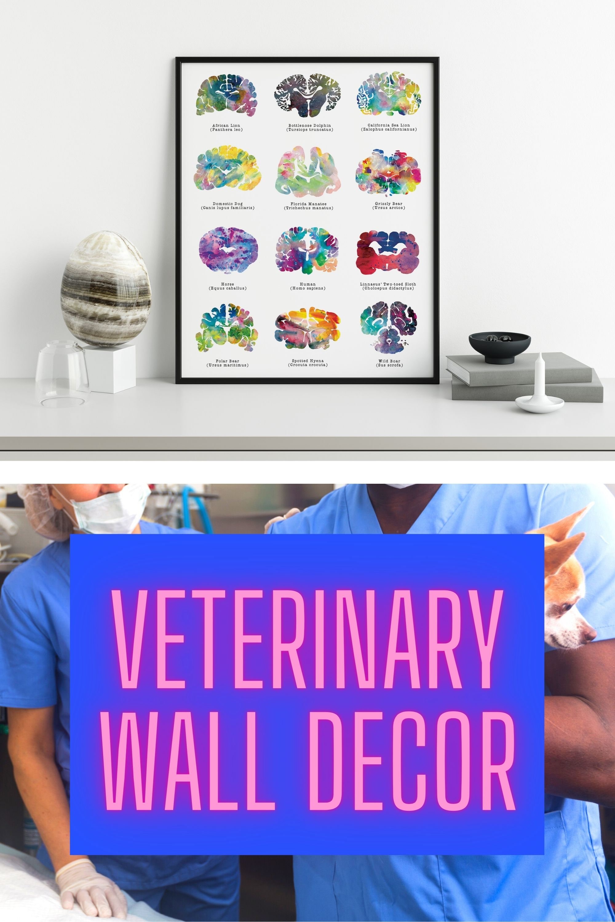 Veterinary Wall Art 8.5 X 11 Veterinarian Gift Etsy
