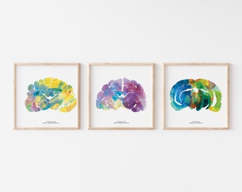 Veterinarian Gift  - Veterinary Art - Brain Prints - 12" x 12"  Rat Cat Dog - Neuroscience Wall Art - Medical Student Gift - Psychology Art