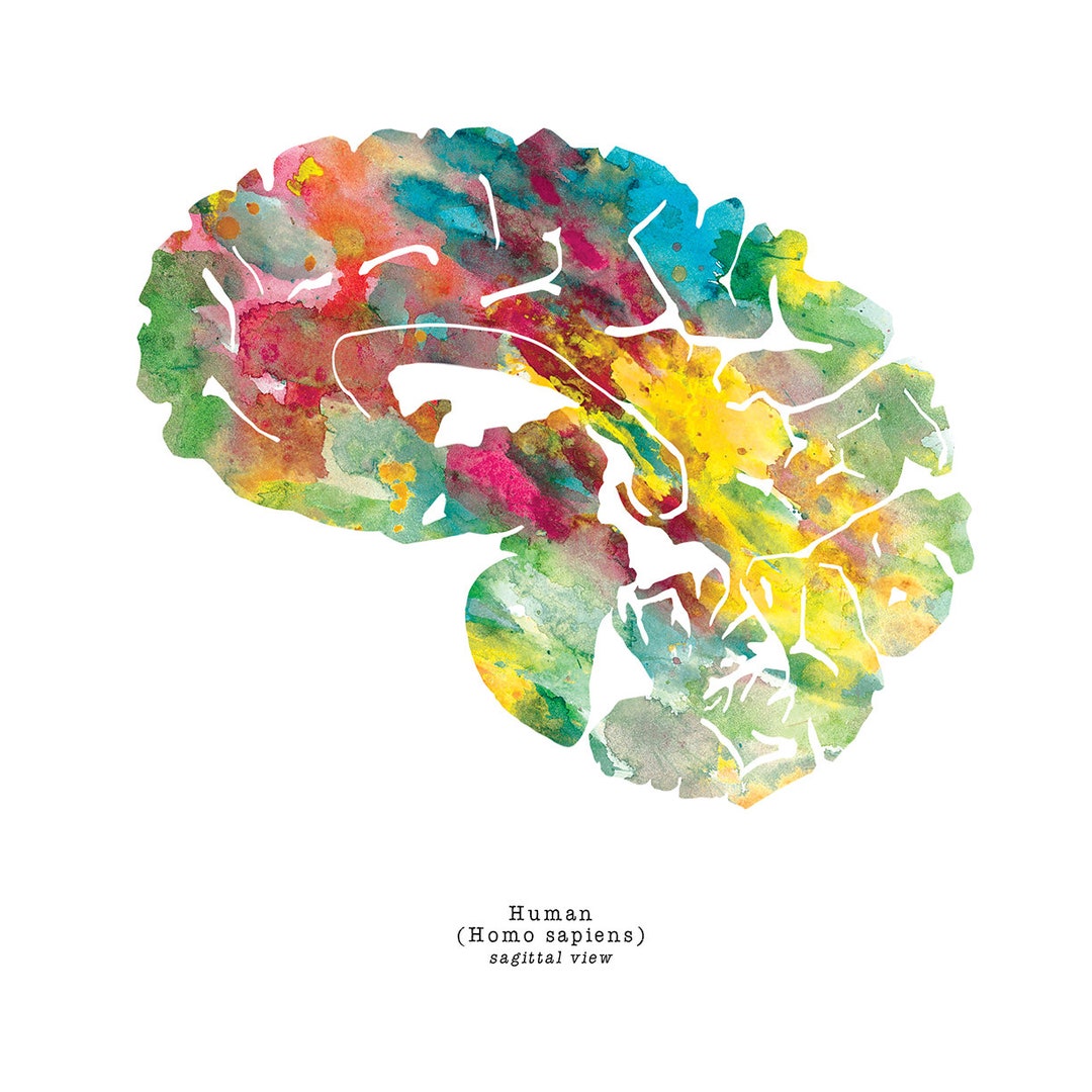 Printable Neuroscience Wall Art Digital Download Medical Student Gift