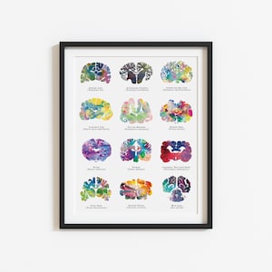 Veterinarian Gift - 8.5&quot; x 11&quot; Watercolor Brain Art Poster - Vet Tech Gift - Nurse Gift - Medical Student Gift - Medical Wall Art