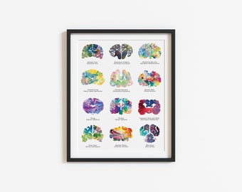 Regalo veterinario - 8.5 "x 11" Acuarela Cerebro Arte Cartel - Vet Tech Gift - Regalo de enfermera - Regalo de estudiante de medicina - Medical Wall Art