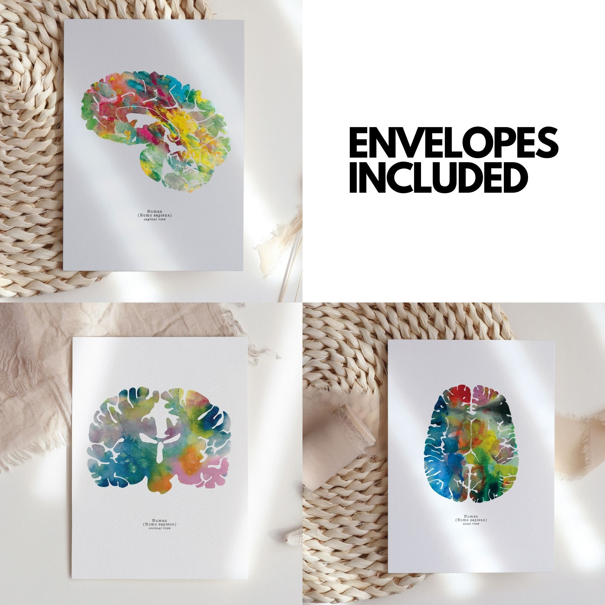 Neuroscience Greeting Cards - Set of 6 Neuroscience Thank You Cards with Envelopes - Nurse Gift - Medical Student Cards - Graduation Card