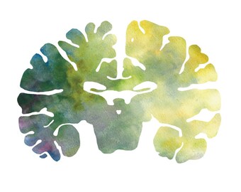 Common Chimpanzee Brain Art - Colorful 8.5&quot; x 8.5&quot; Watercolor Prints - Thoughtful Neurology, Veterinary, and Psychology Gifts by J. Sayuri