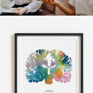 Human Brain Art - Colorful 12" X 12" Coronal Watercolor Print ...