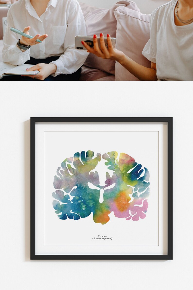 Human Brain Art - Colorful 12" X 12" Coronal Watercolor Print ...