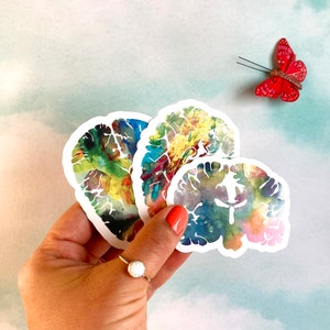 Psychische Gesundheit Sticker - Laptop Sticker - Mental Health Sticker 30er Set - Gehirn Sticker Pack - Neurowissenschaften Geschenke - Geschenk für Krankenschwestern