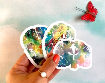 Pegatinas de salud mental - Pegatinas para computadoras portátiles - Conjunto de pegatinas de salud mental de 30 - Paquete de pegatinas para el cerebro - Regalos de neurociencia - Regalo para enfermeras