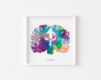 Human Brain Art Print - 12" x 12" Watercolor Neurology Artwork - Colorful and Thoughtful Neuroscience, Psychology, and Psychiatry Wall Art