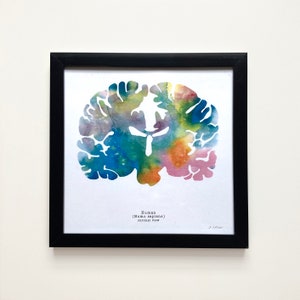 Coronal Human Brain Art - Colorful 8.5" X 8.5" Watercolor Prints ...
