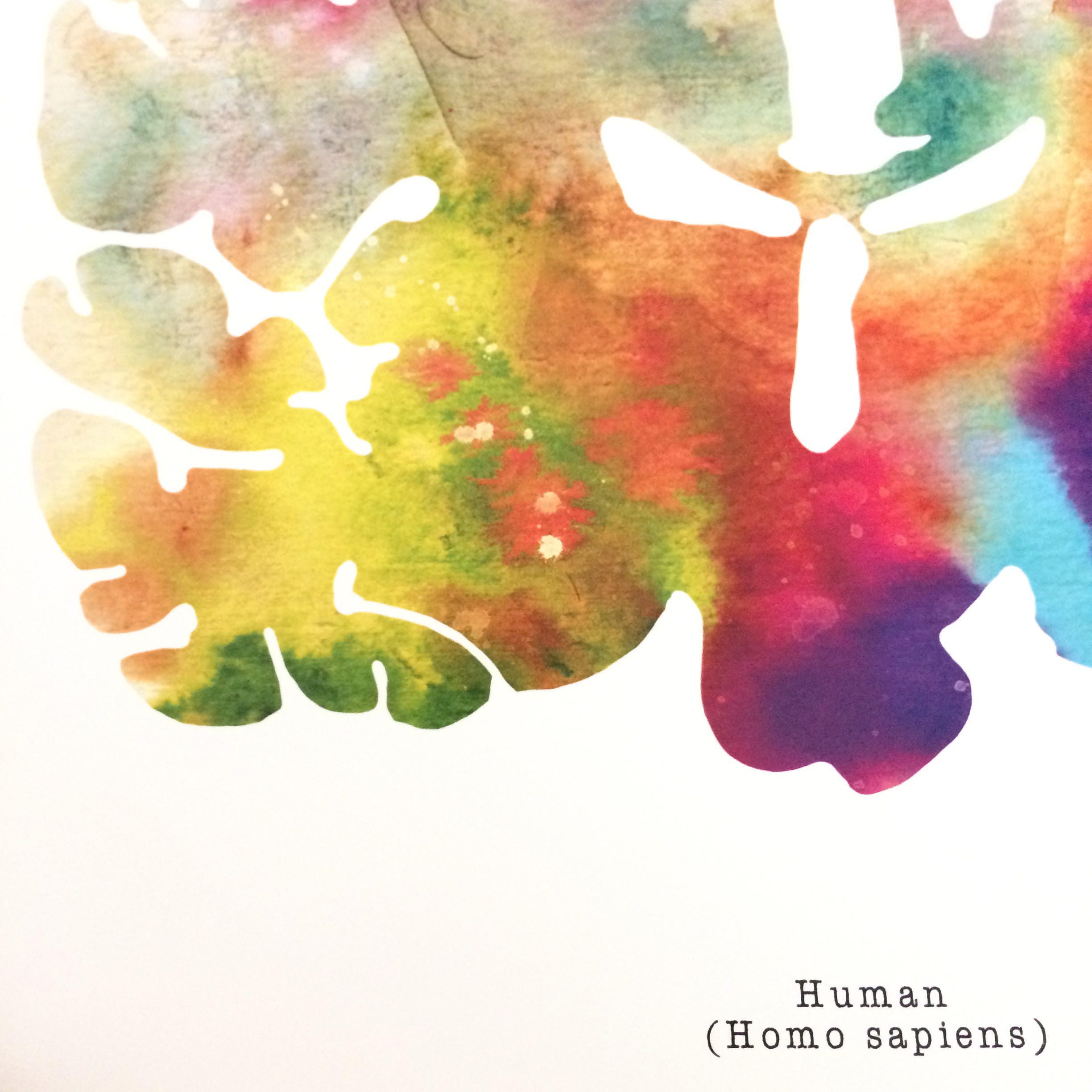 Human Brain Art Coloful 8.5 x 8.5 Watercolor | Etsy