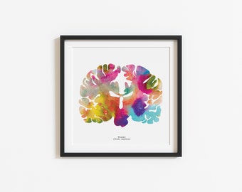 Human Brain Art Print - 8.5" x 8.5" Watercolor Artwork - Colorful Neuroscience Psychology and Psychiatry Prints and Gift Ideas by J. Sayuri