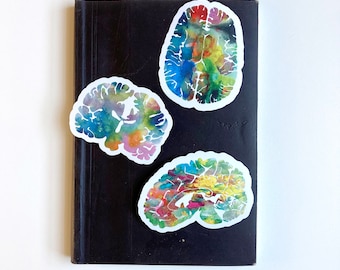 Conjunto de 30 pegatinas - Human Brain Art Sticker Set - Neurology Brain Stickers- Colorful Neuroscience, Psychiatry and Psychology Gifts