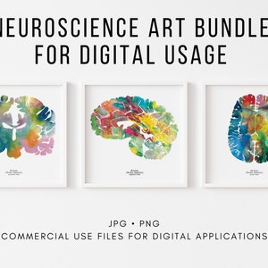May include: A set of three digital art prints featuring colorful watercolor brain illustrations. The prints are framed in white frames and are labeled "Brain (Human Nervous System)".