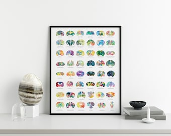 Cartel de anatomía cerebral - Cartel veterinario de 18 " x 24 " - Veterinarian Tech Gift - Cartel de anatomía de neurociencia - Arte de pared de gran tamaño