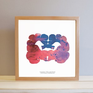 Linnaesus' Two-toed Sloth Brain Art Colorful 8.5 X 8.5 Watercolor ...