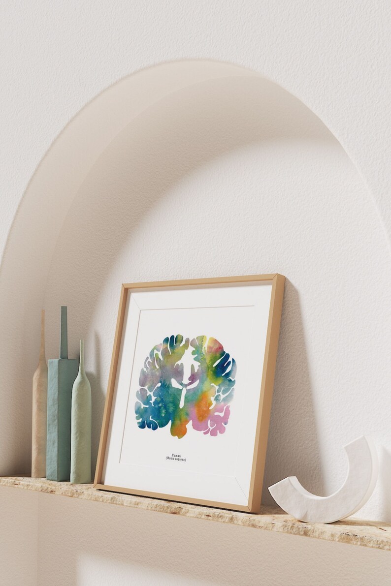 Human Brain Art - Colorful 12" X 12" Coronal Watercolor Print ...