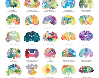 Arte de pared imprimible - Neurología veterinaria - Descarga digital - Regalo veterinario de 16" x 20" - Decoración de pared veterinaria - Regalo veterinario