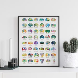 Printable Veterinary Wall Art - Digital Download - Medical Student Gift - Veterinary Wall Decor - 18&quot; x 24&quot; Poster - Veterinarian Gift