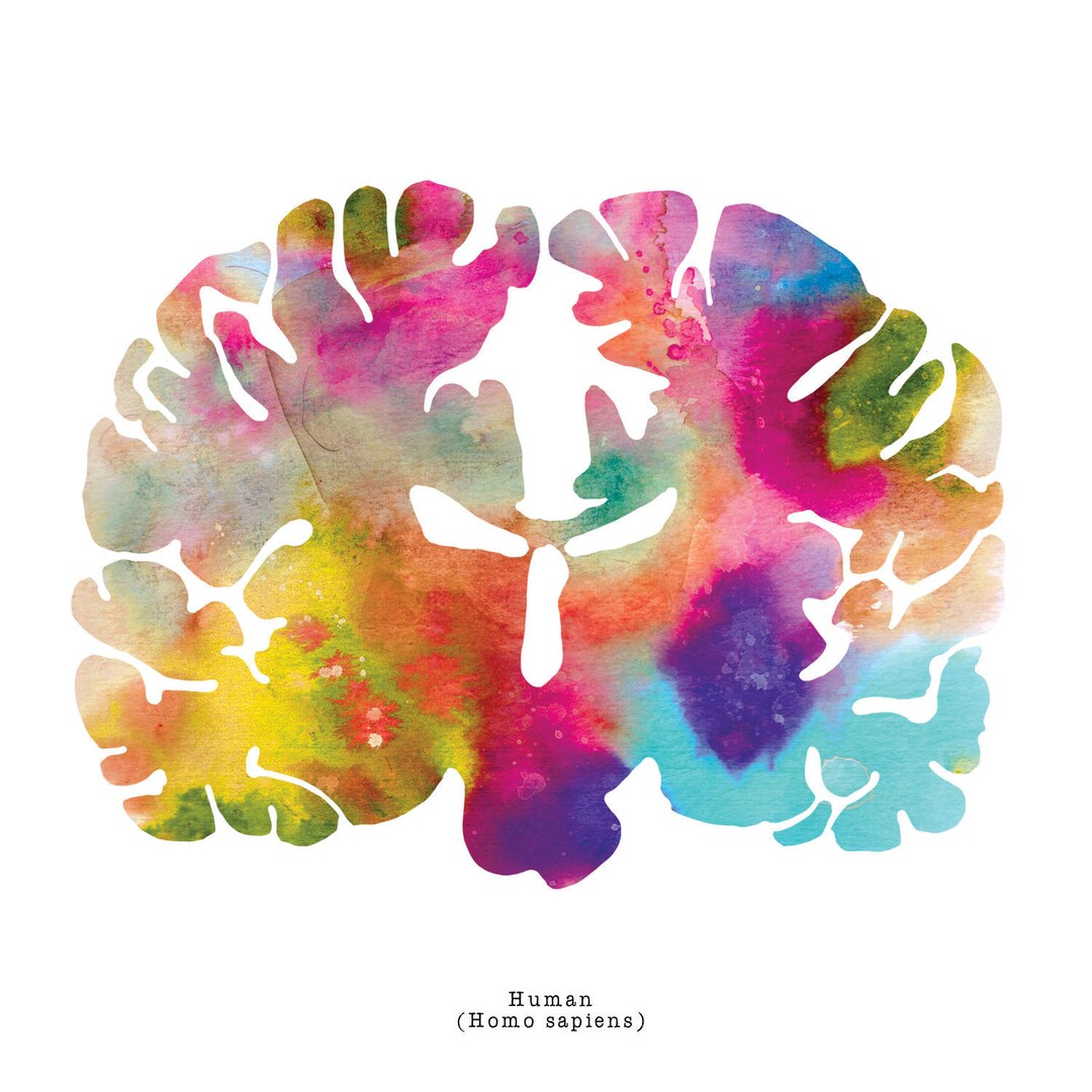 Human Brain Art - Colorful 12" X 12" Watercolor Prints - Thoughtful ...