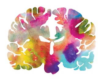 Human Brain Art - Colorful 12&quot; x 12&quot; Watercolor Prints - Thoughtful Neurology, Neuroscience, and Psychology Gifts by J. Sayuri