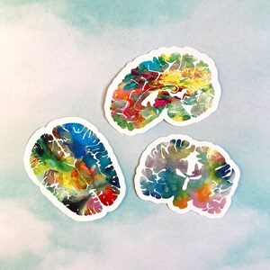 May include: Three watercolour brain illustrations in a variety of colours, including blue, green, yellow, red, and pink. The illustrations are on a white background.