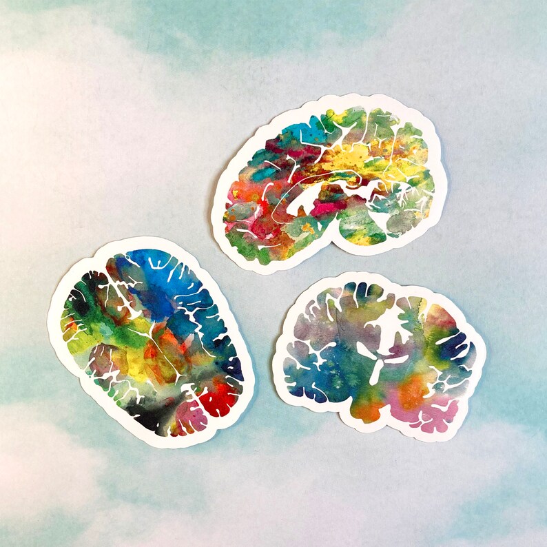 May include: Three watercolour brain illustrations in a variety of colours, including blue, green, yellow, red, and pink. The illustrations are on a white background.