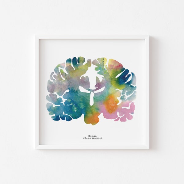 Human Brain Art - Colorful 8.5" x 8.5" Watercolor Print - Thoughtful Neuroscience, Neurology, and Psychology Gift Idea Signed by J. Sayuri