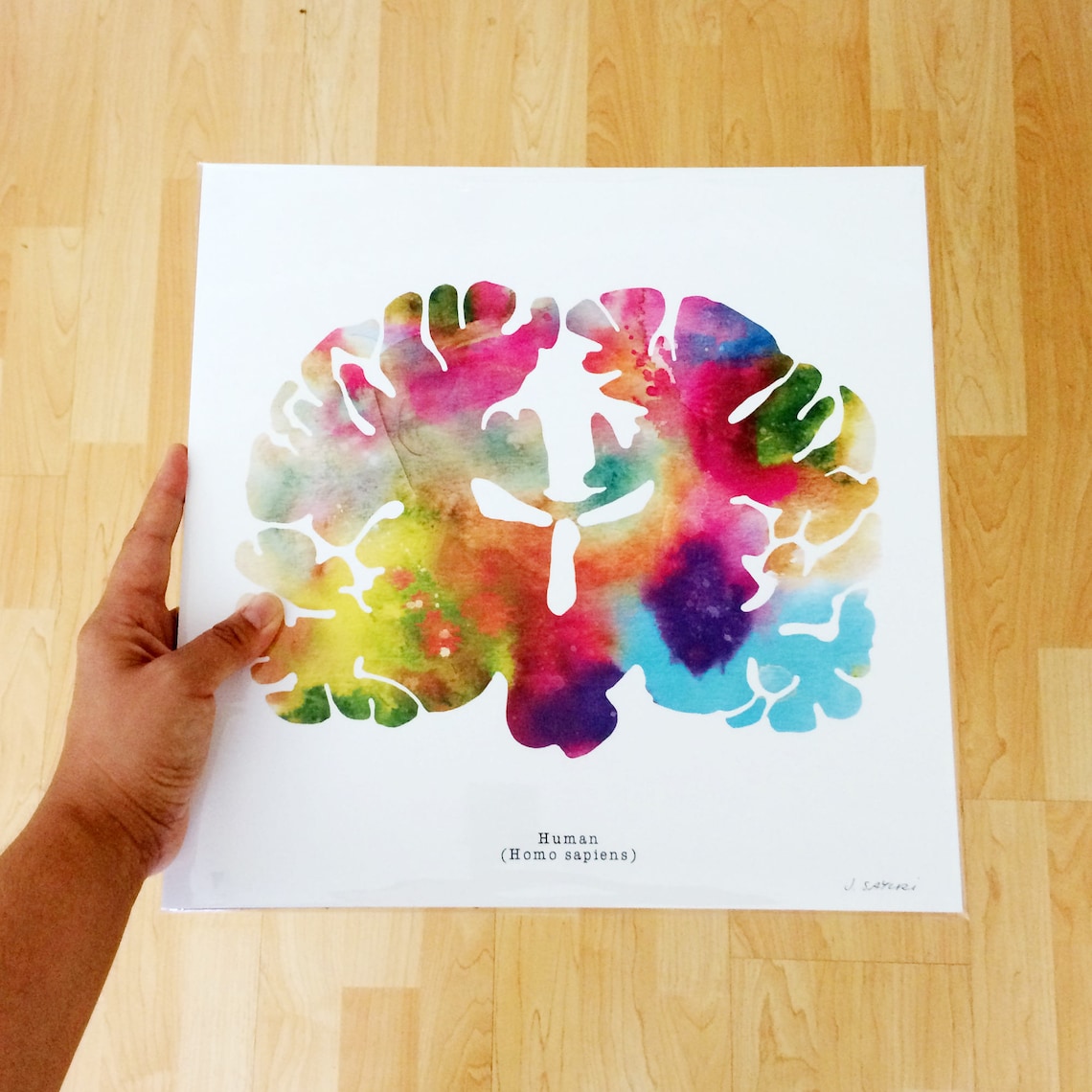 Human Brain Art - Coloful 8.5" X 8.5" Watercolor Prints - Thoughtful ...