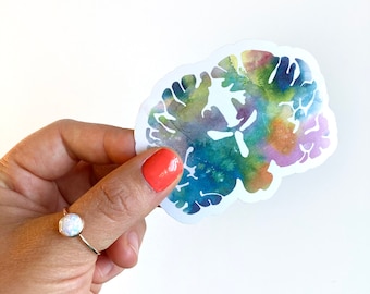 Coronal Human Brain Sticker - Neurology Sticker Art- Colorful Neuroscience and Psychology Graduation Gifts