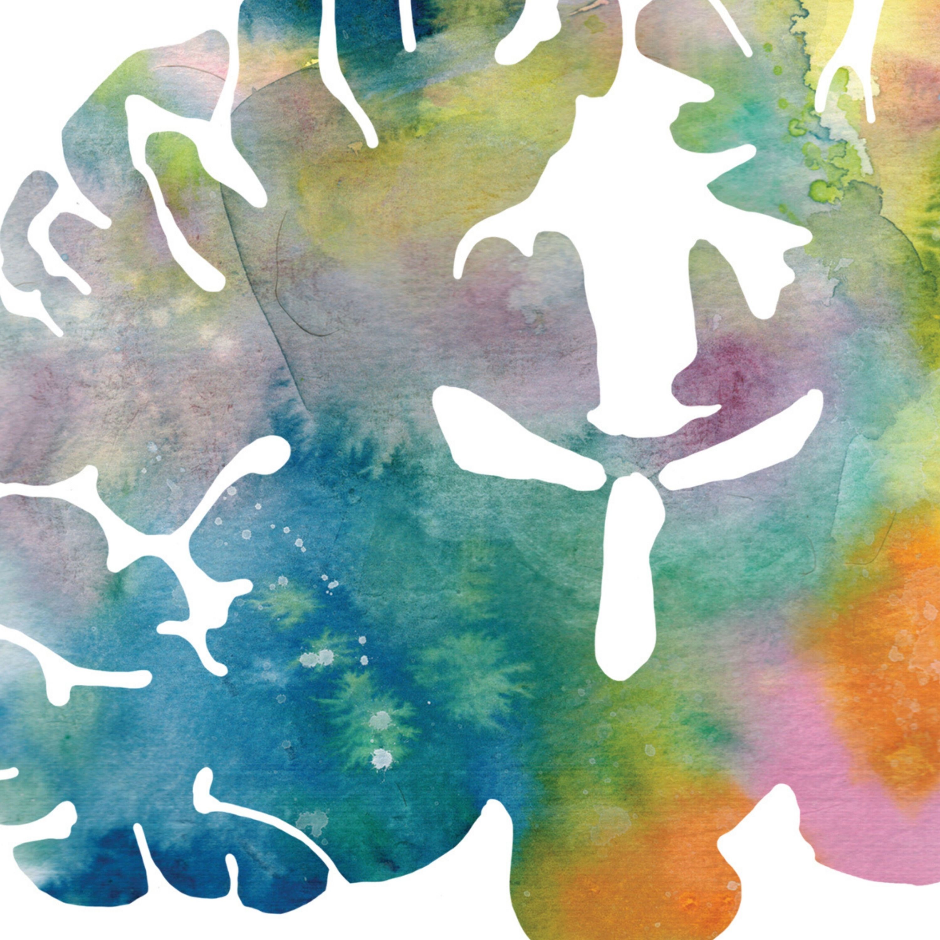 Coronal Human Brain Art Print Set - Three 8.5" X 8.5" Watercolor Prints ...