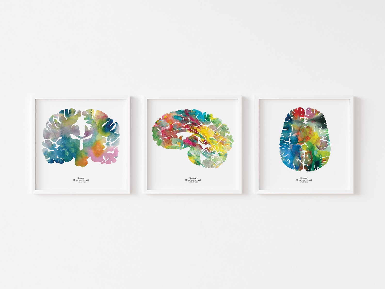 Neuroscience, Neurology, and Psychology Art 