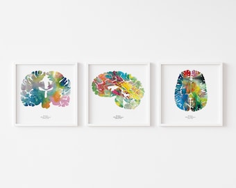 Medical Student Gift - Watercolor Brain Psychology Art - Nurse Gift -  12&quot; x 12&quot; Medical Art - Neuroscience Wall Art - Signed Office Decor