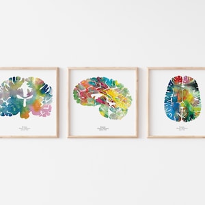 Human Brain Art - Set of Three 8.5" x 8.5" Watercolor Prints - Neuroscience, Neurology, and Psychology Wall Decor - Graduation Teacher Gifts