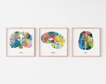 Human Brain Art - Set of Three 8.5&quot; x 8.5&quot; Watercolor Prints - Neuroscience, Neurology, and Psychology Wall Decor - Graduation Teacher Gifts