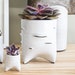 see more listings in the Vases & Planters section