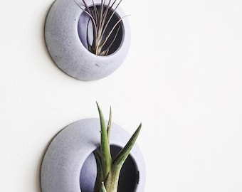 Barnacle Wall Hanging Planter