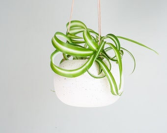 Dimple Small Hanging Planter in Speckled Cream. Handmade ceramic hanging planter. Perfect for air plants or succulents.