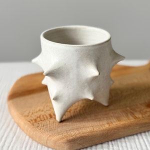 White Thorn Piglet Planter