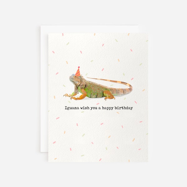 Iguana Wish You a Happy Birthday Iguana Birthday Card