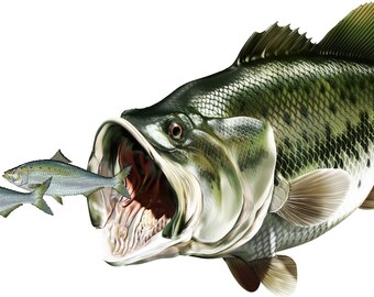 Download Nitro Fish Etsy