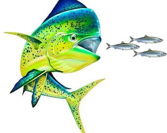 Mahi Chasing Bait Fishing Color  Decal 12x10" Boat, Car