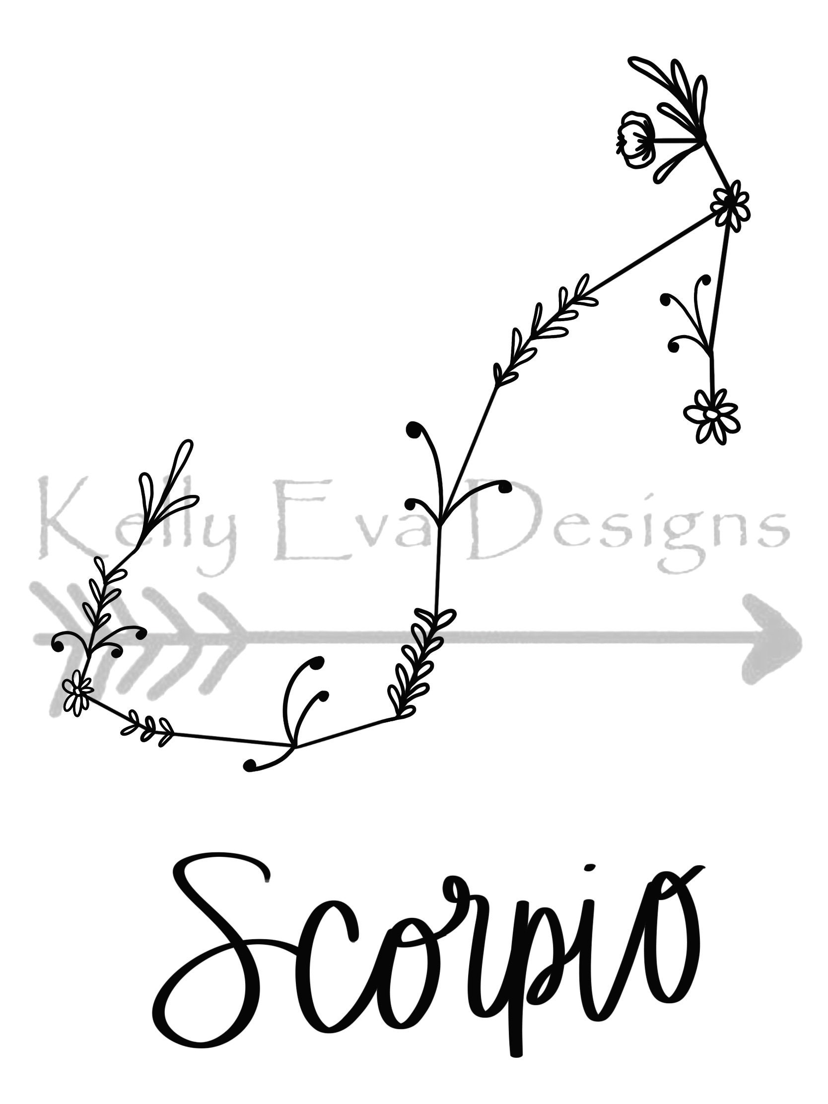 Scorpio Zodiac Astrology Flower Floral Sign Wall Print Art Decor