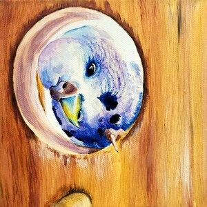 Custom Bird Portraits